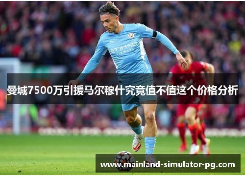曼城7500万引援马尔穆什究竟值不值这个价格分析
