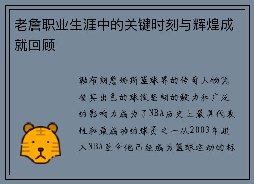 老詹职业生涯中的关键时刻与辉煌成就回顾