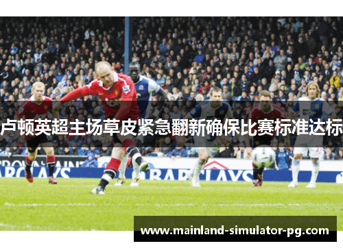 卢顿英超主场草皮紧急翻新确保比赛标准达标